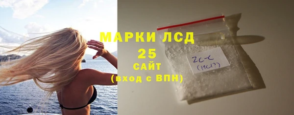 прущие грибы Краснослободск