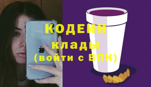 прущие грибы Краснослободск