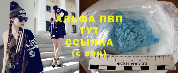 прущие грибы Краснослободск