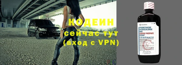прущие грибы Краснослободск