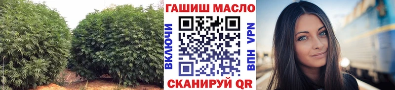 hydra ссылки  Кострома  ТГК THC oil 