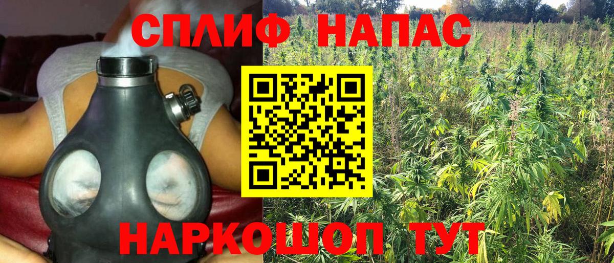 Конопля семена  Конопля Bruce Banner  Вход с VPN  Кострома 